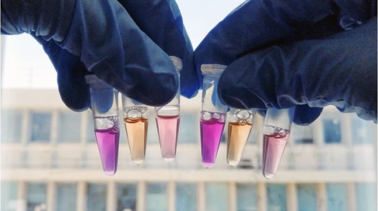 proteine lumiere rhodopsine photosensible