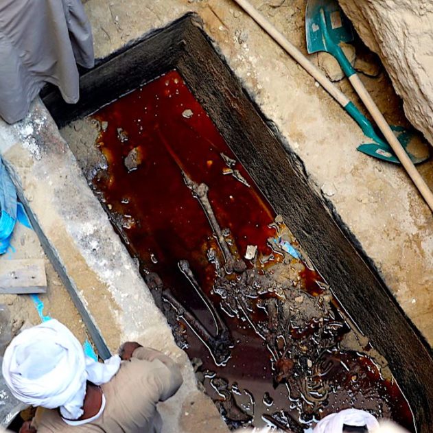 sarcophage geant egypte noir