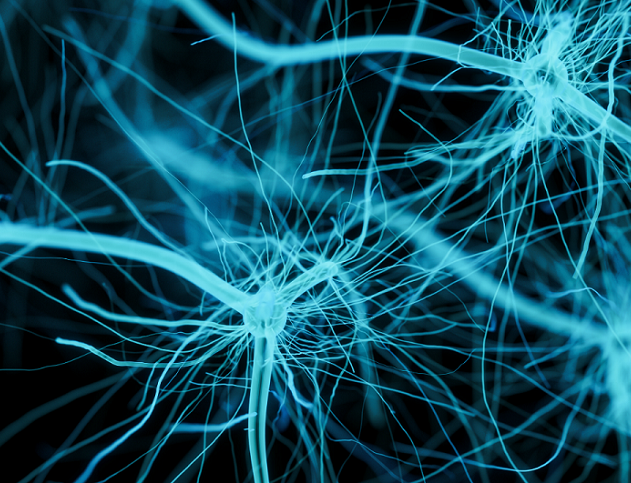 ARN ARNi technique gene genes medicament traitement ATTR
