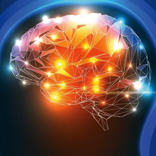 cerveau memoire apprentissage apprendre souvenir technique