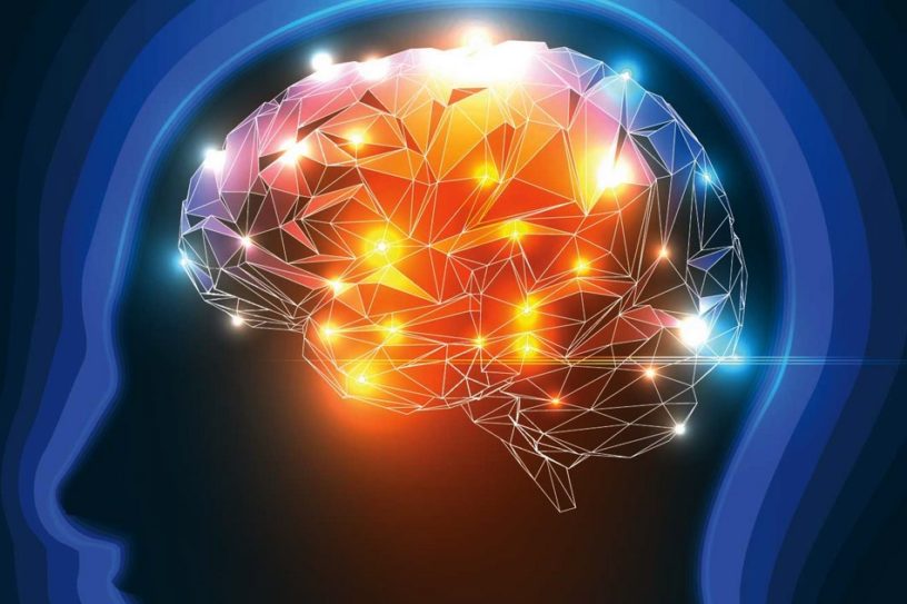 cerveau memoire apprentissage apprendre souvenir technique