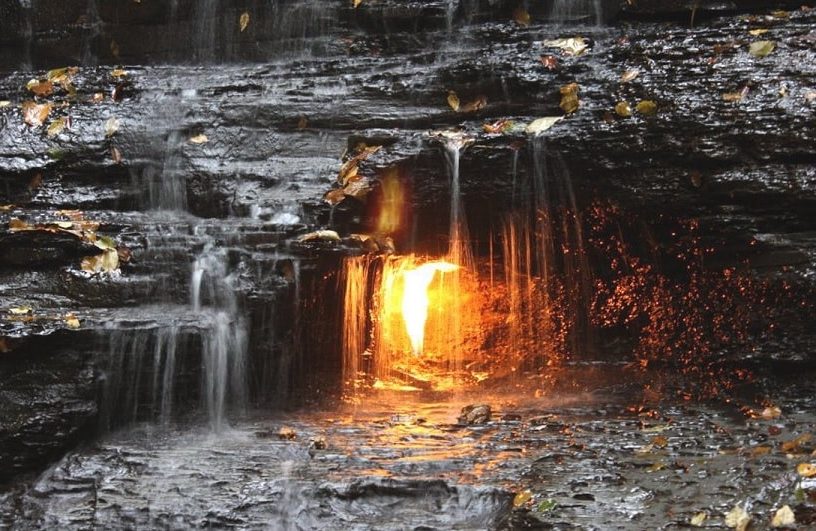 chestnut ridge flamme eternelle