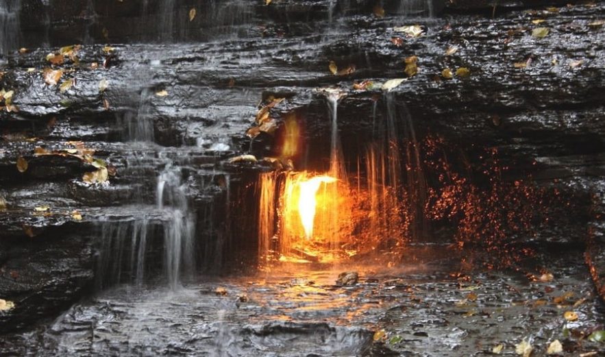 chestnut ridge flamme eternelle