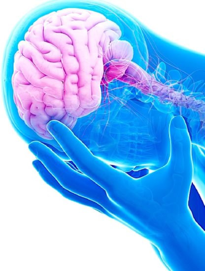 cerveau étude depression