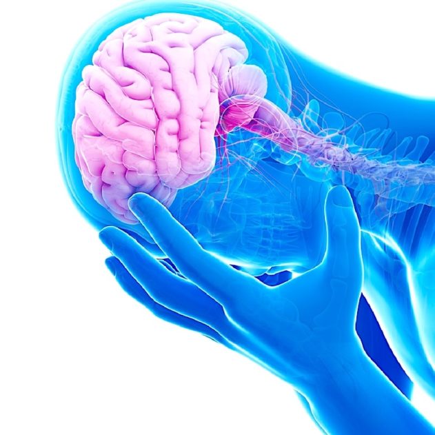 cerveau étude depression