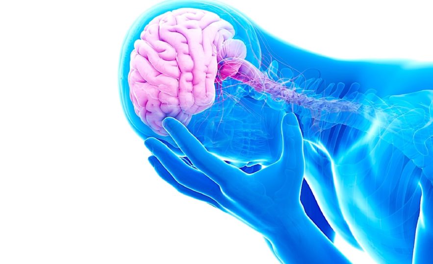 cerveau étude depression