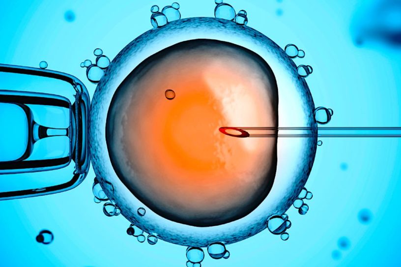 fecondation in vitro fiv