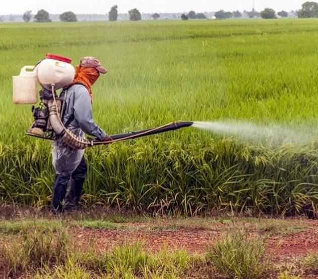 pesticide poison autisme tsa