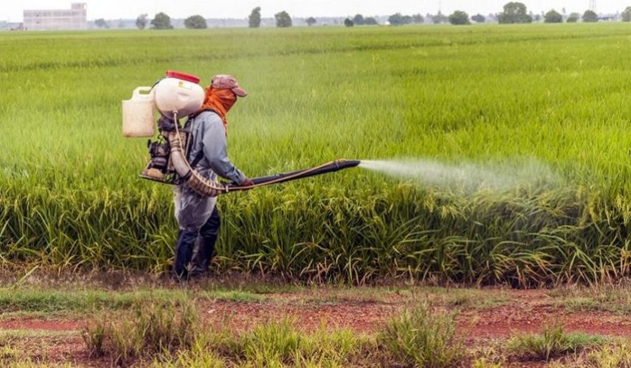 pesticide poison autisme tsa