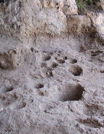 brasserie biere israel archeologie