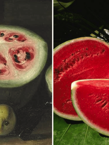 fruits ancetres domestication