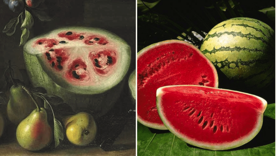 fruits ancetres domestication