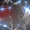 neurones cerveau maladies degeneratives