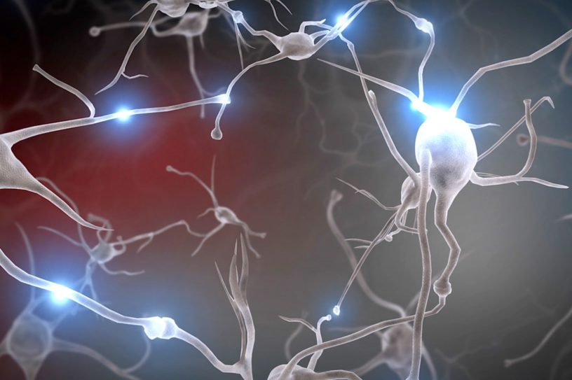 neurones cerveau maladies degeneratives