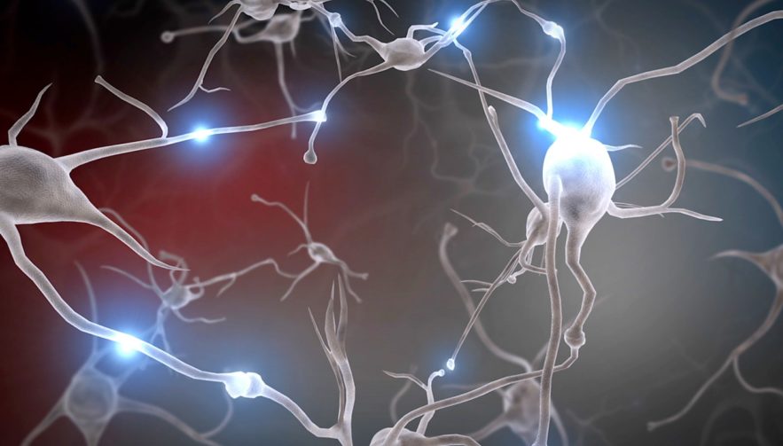 neurones cerveau maladies degeneratives