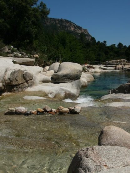riviere de Cavu schistosome hybride bilharziose