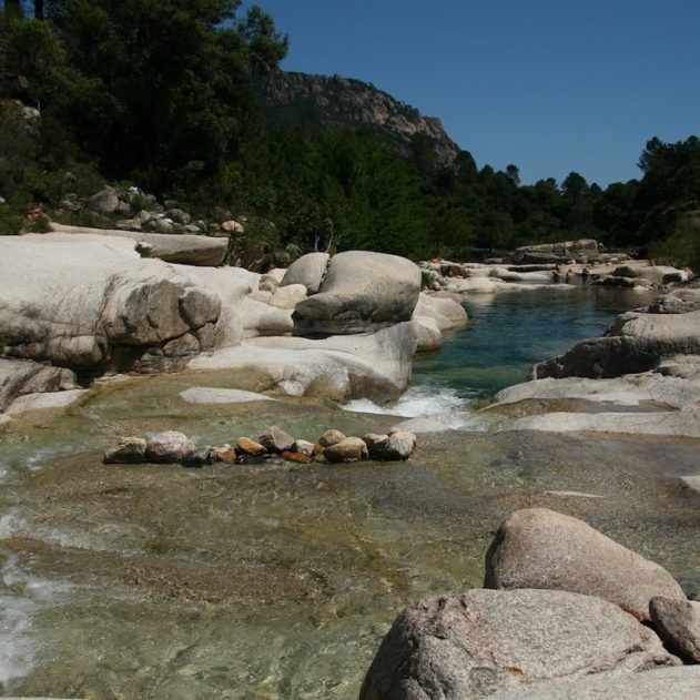 riviere de Cavu schistosome hybride bilharziose