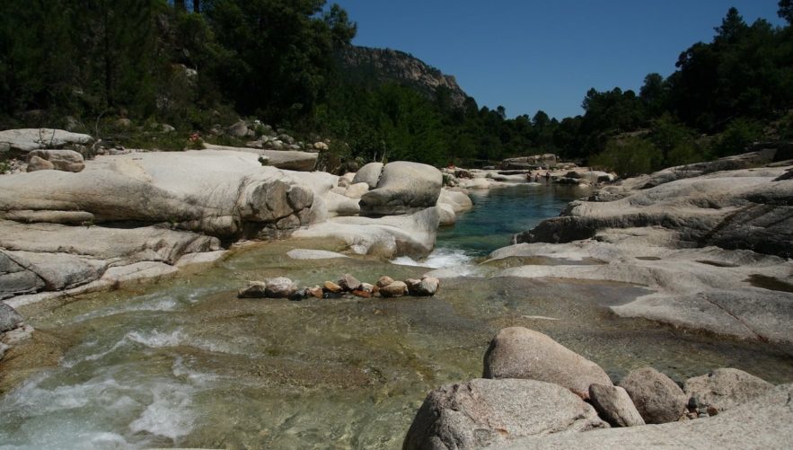 riviere de Cavu schistosome hybride bilharziose