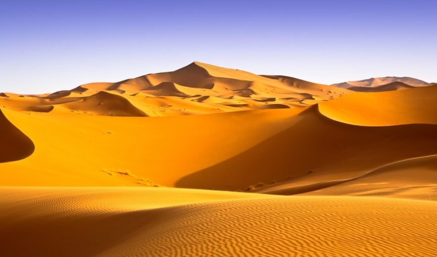 sahara panneaux solaires eoliennes