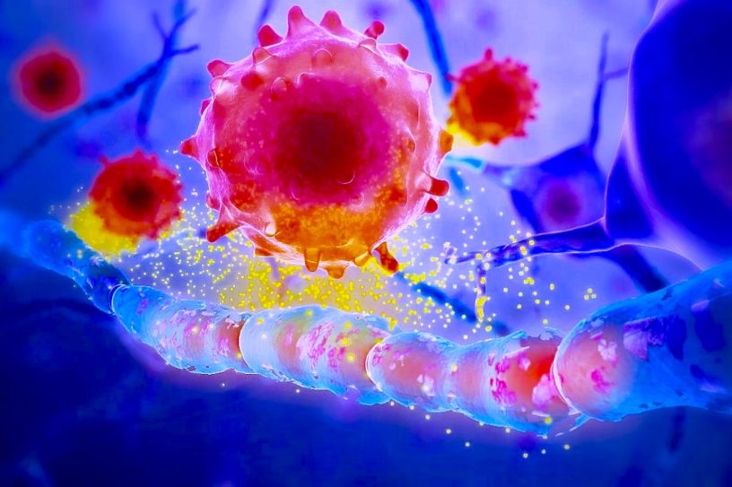 Sclerose en plaque auto antigene myeline