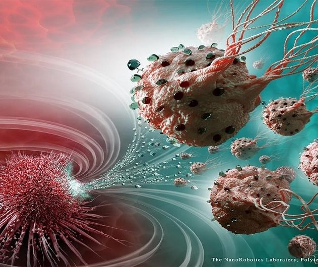 injections bacteriennes tumeurs cancer