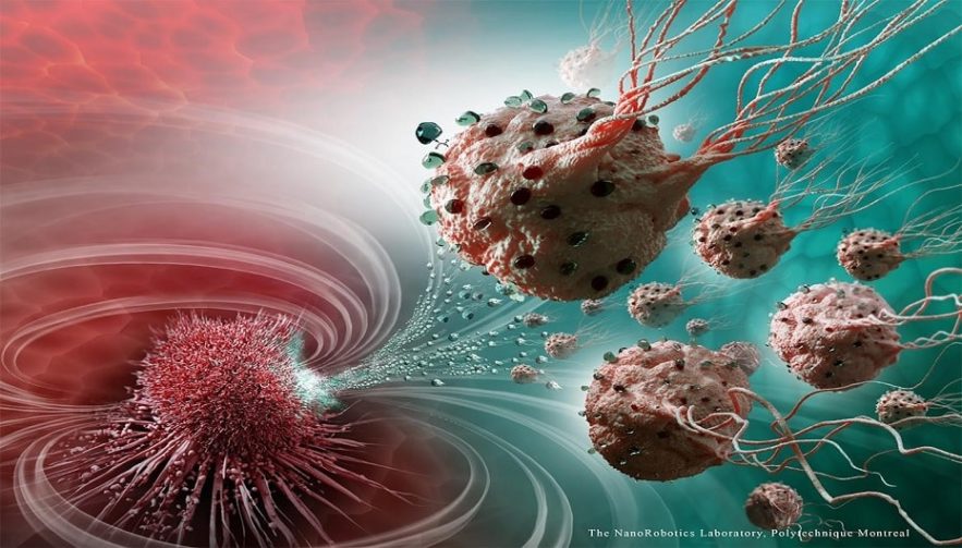 injections bacteriennes tumeurs cancer
