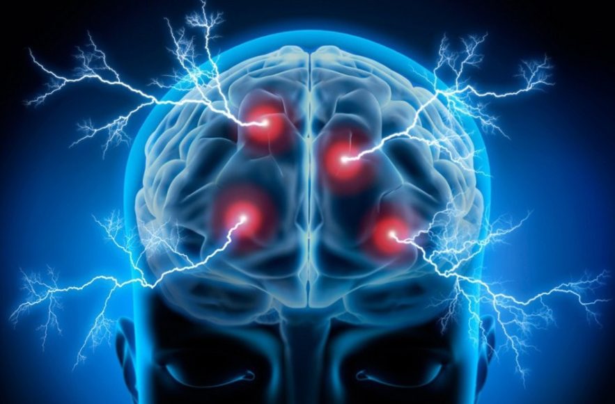 cerveau cellules communication brainnet