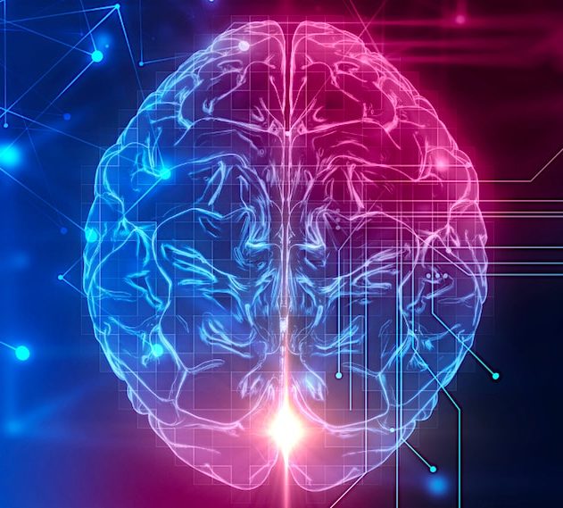 cerveau psychologie traits-obscurs personnalité recherche