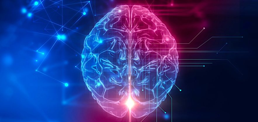 cerveau psychologie traits-obscurs personnalité recherche