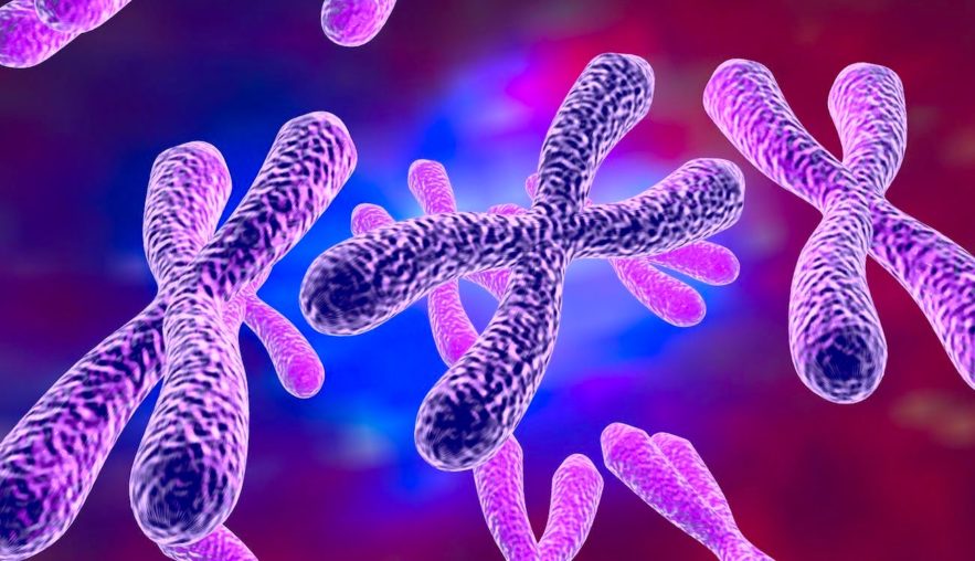 chromosome sexuel anomalie