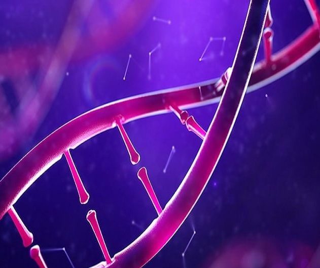 epigenetique intelligence environnement qi