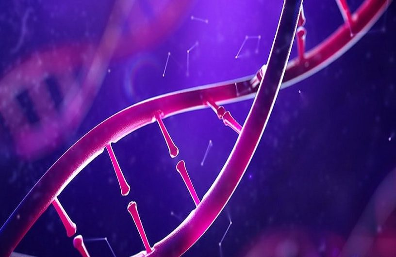 epigenetique intelligence environnement qi