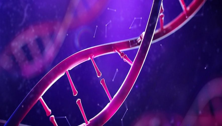 epigenetique intelligence environnement qi