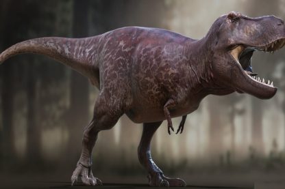 reconstruction dinosaure trex