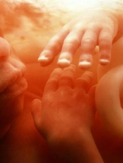 cooperation immunitaire foetus mere