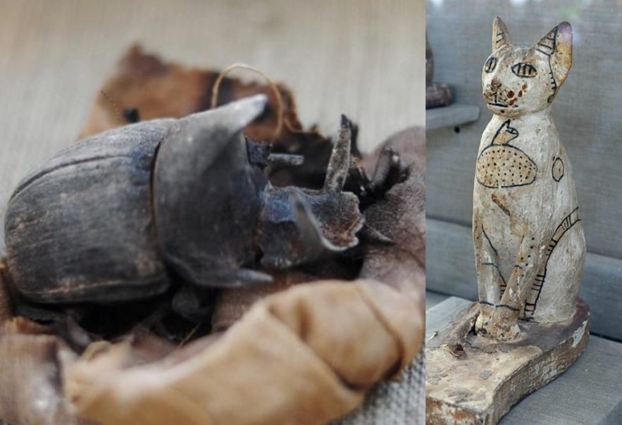 decouver sarcophage tombe egypte egyptienne chat scarabee momie