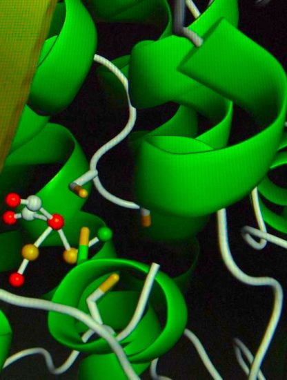 enzyme contrôle distance
