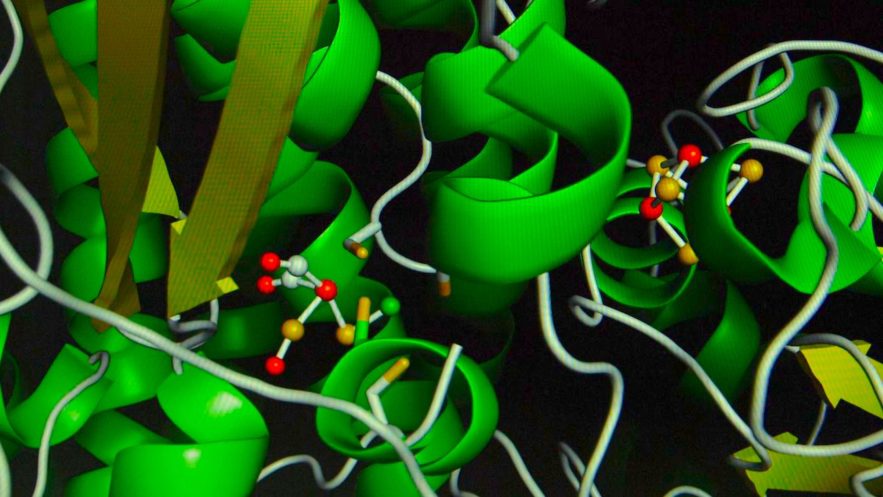 enzyme contrôle distance
