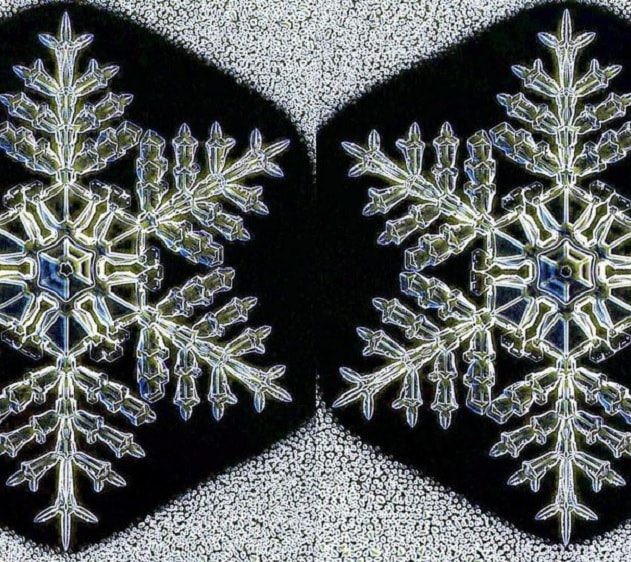 flocons neige identiques