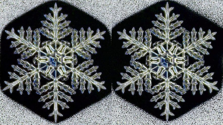 flocons neige identiques