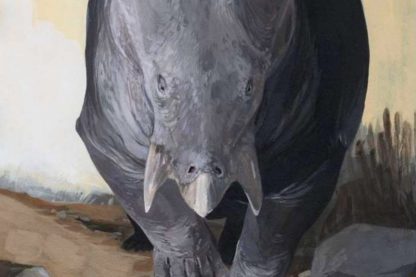 mammifere herbivore geant decouverte animal cousin humain