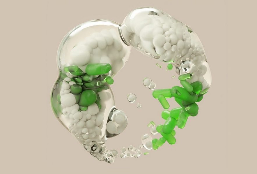 nature cellule biologie synthétique