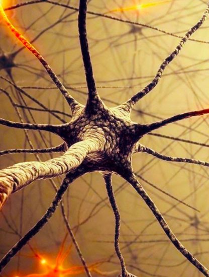 reseau neuronal reconfiguration dynamique