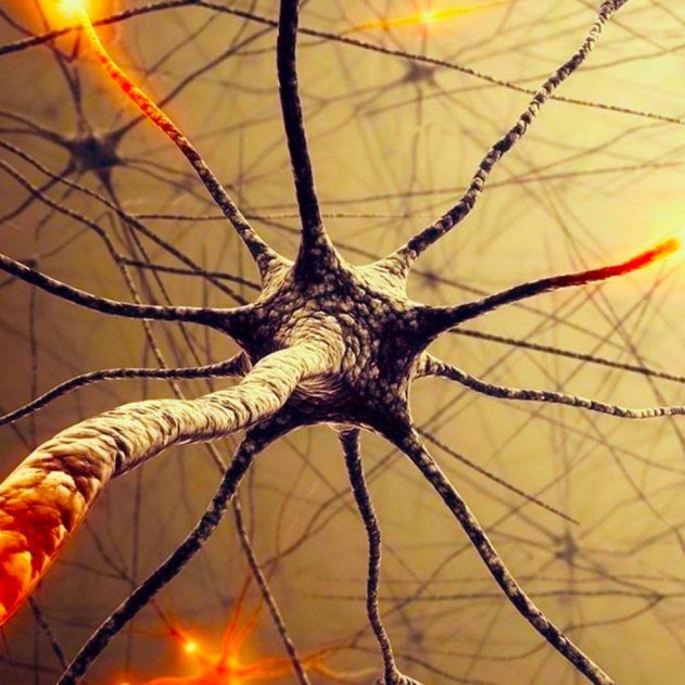 reseau neuronal reconfiguration dynamique