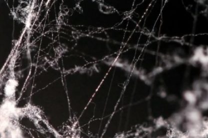 soie araignee microfibres acier