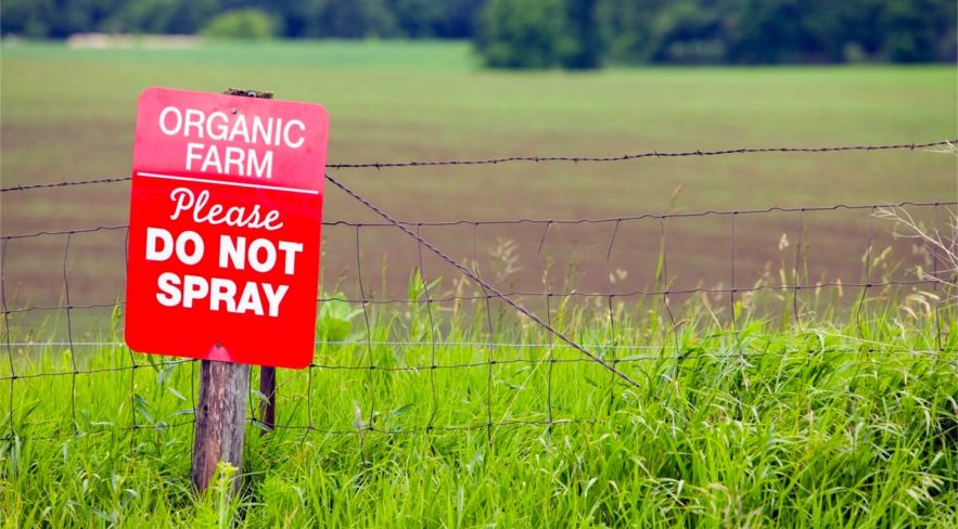 agriculture biologique