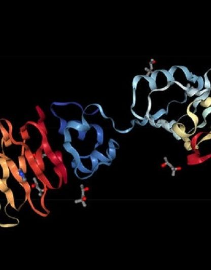 alphafold structure proteine