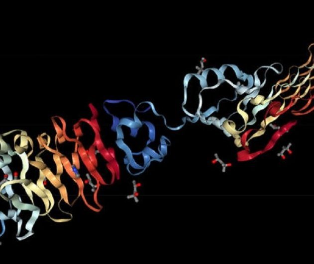 alphafold structure proteine