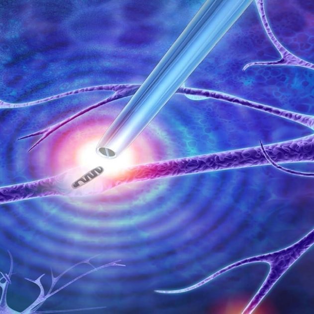 pinces nanometriques cellules