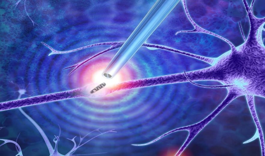 pinces nanometriques cellules